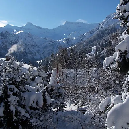 Apartment Chalet Berggeist 2